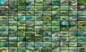 Ein Mosaik mit vielen kleinen Ansichten von Seen und Weihern